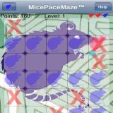 Dwonload MicePaceMaze Cell Phone Game